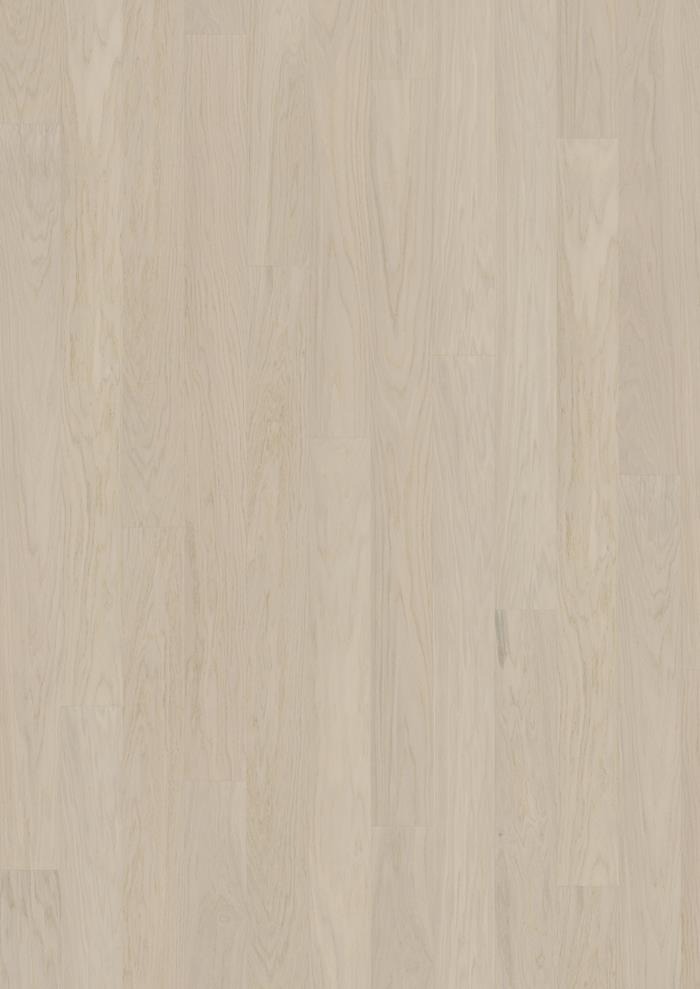 Coconut Cream Wide
